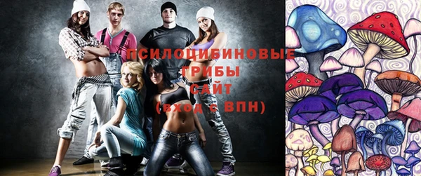 дмт Армянск