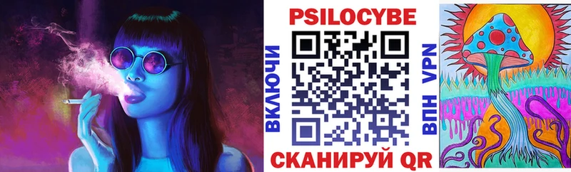 сколько стоит  Нурлат  Галлюциногенные грибы Cubensis 